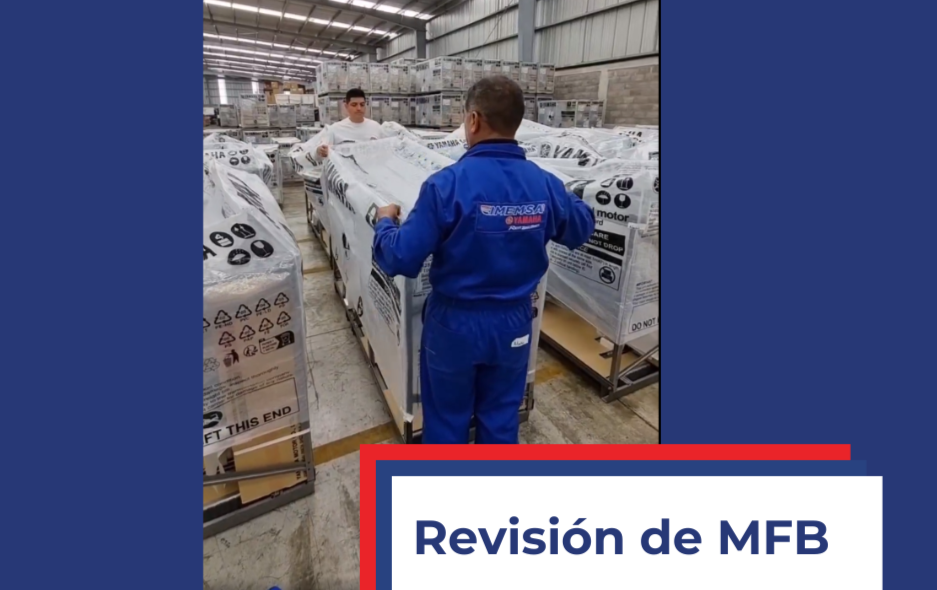Revisiones Motores Fuera de Borda YAMAHA